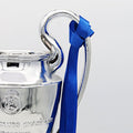 European Champion Cup Trophy