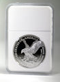 2023 American Silver Eagle Coin ( 1 Troy Ounce)